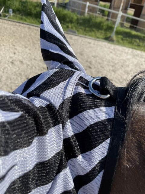 Masque anti-mouche équitation Zebra 3/3