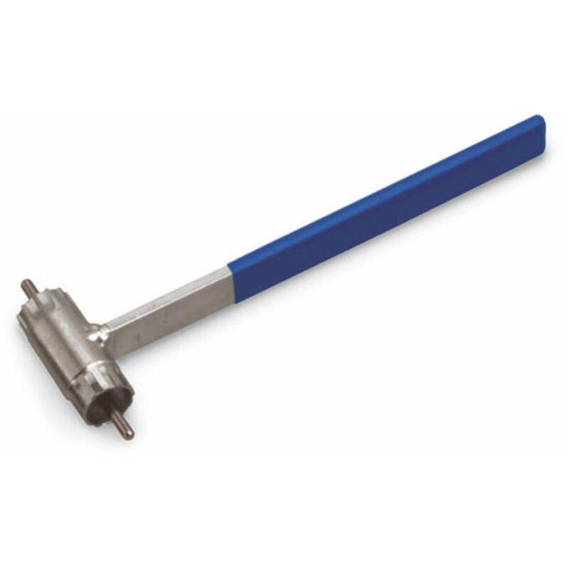 Extractor cyclus cassette campag/sh