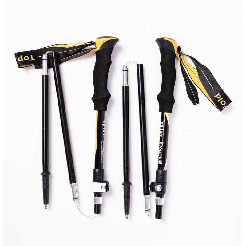 Kije trekkingowe Evolution Professional Equipment Top Fold Alu