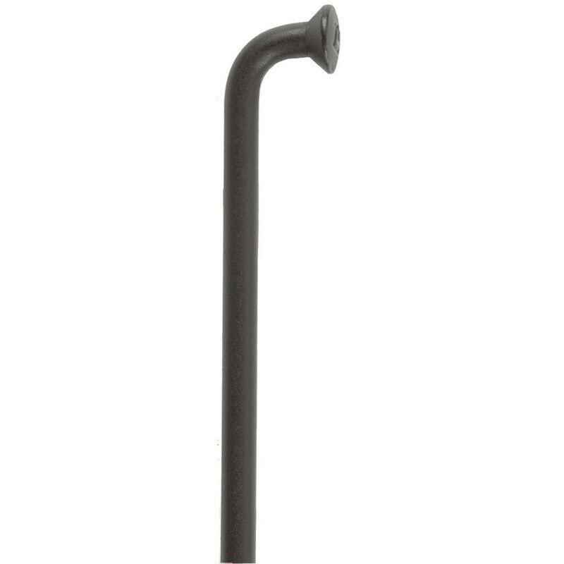 Abgewinkelter Radius DT Swiss competition 2.0x1.8x2.0x256 mm inoxydable
