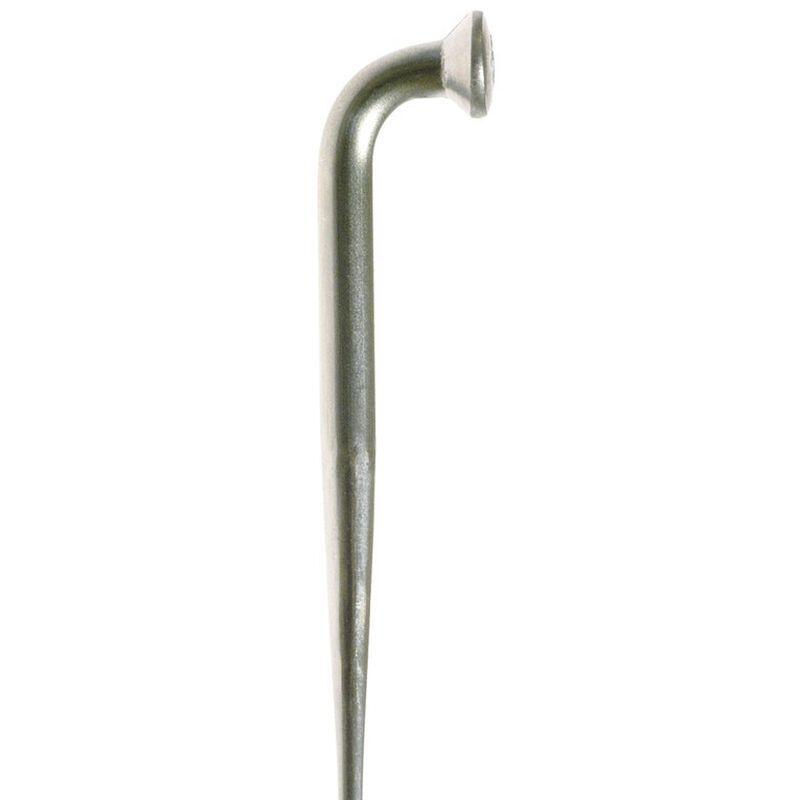 Doos van 100 gebogen spaken DT Swiss Alpine 2.0x2.34x256 mm