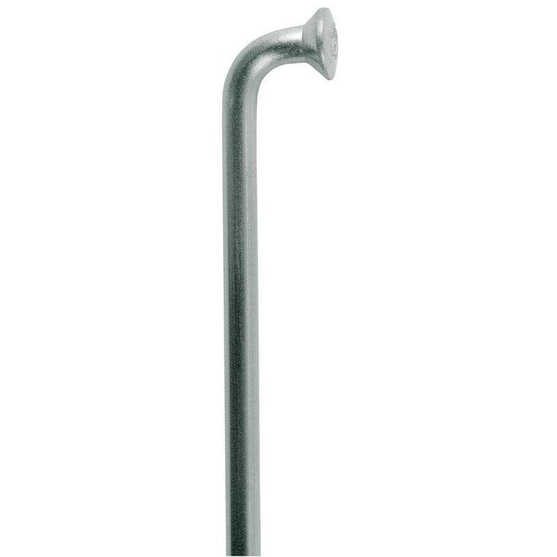 Abgewinkelte Speiche DT Swiss Champion m 2x256 mm