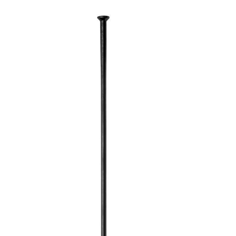 Gerader Balken DT Swiss competition straight pull 2.0x1.8x2.0x306 mm