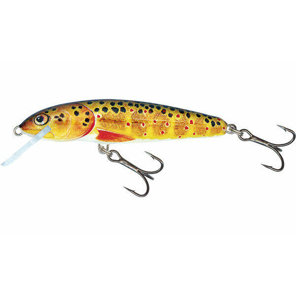 Leurre Salmo Minnow flo 3g