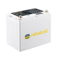 Batterie lithium 24V50 pour moteur électrique 24V plus chargeur 20A