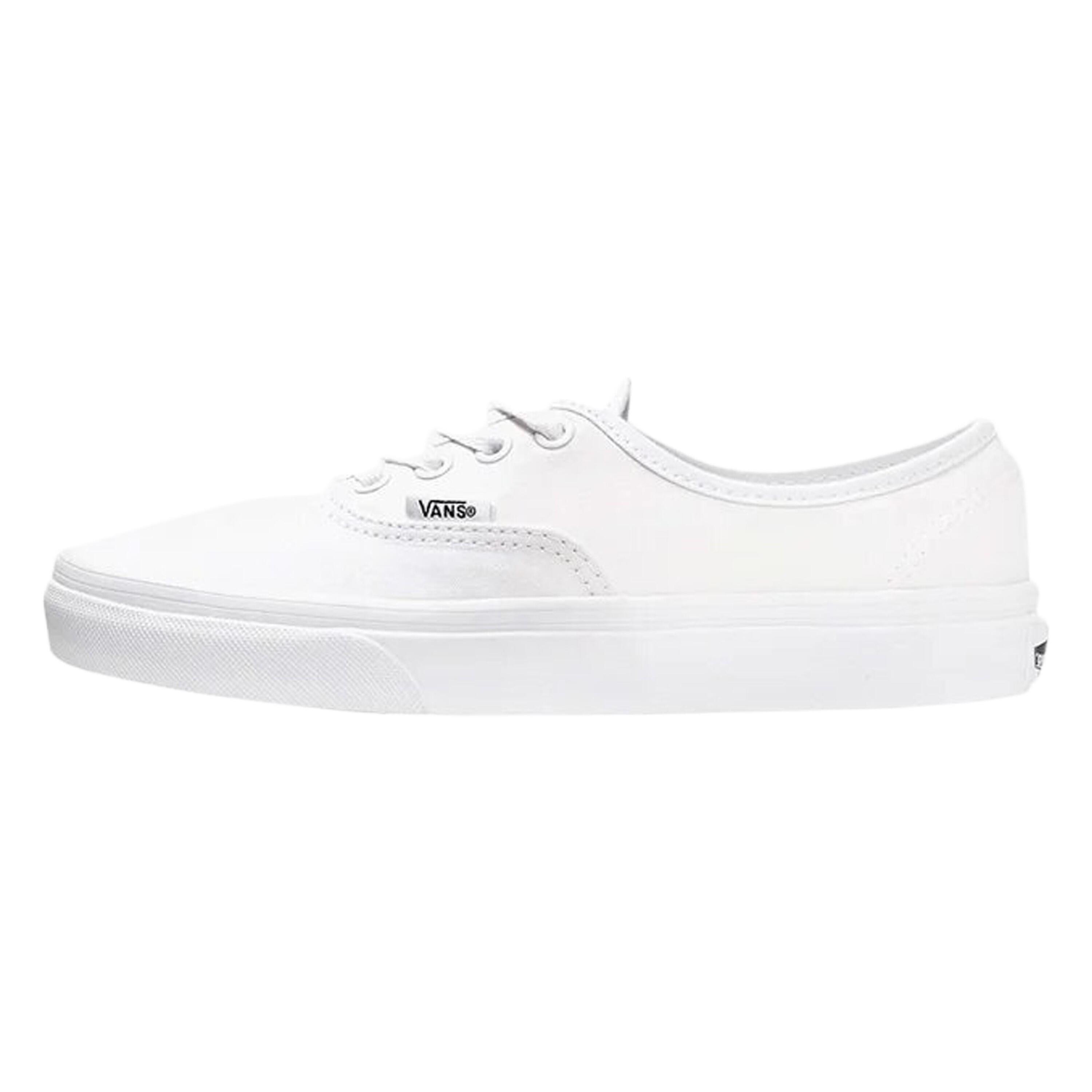 VANS picture