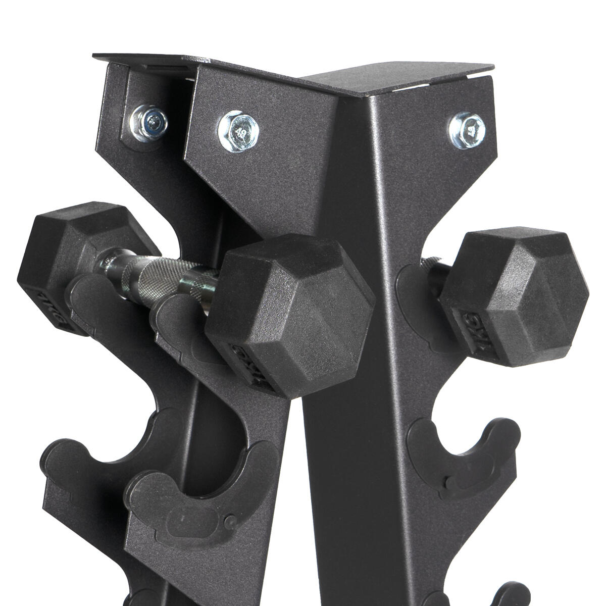 Suporte de armazenamento com haste de aço para 10 pares de halteres GladiatorFit 2/4
