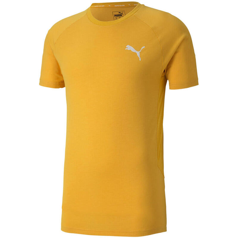 Koszulka piłkarska męska Puma Evostripe Lite Tee