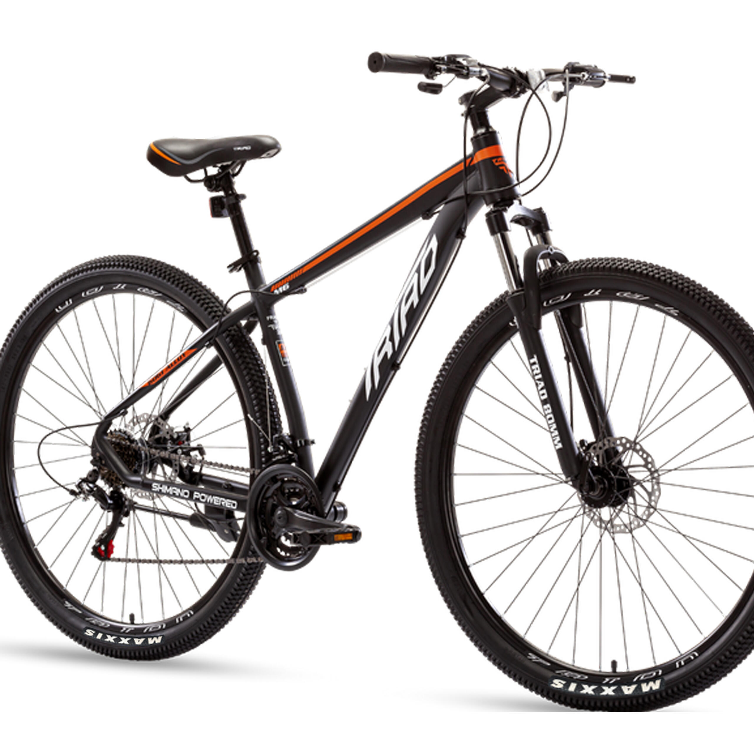 NICEBIKE picture