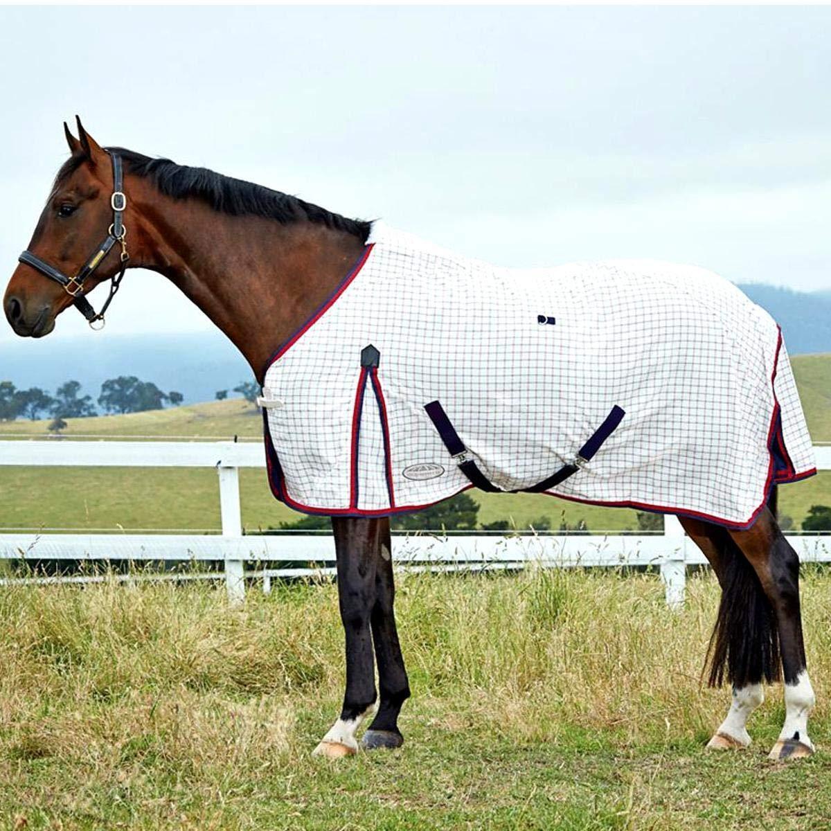 Horse blanket (white / navy / red)