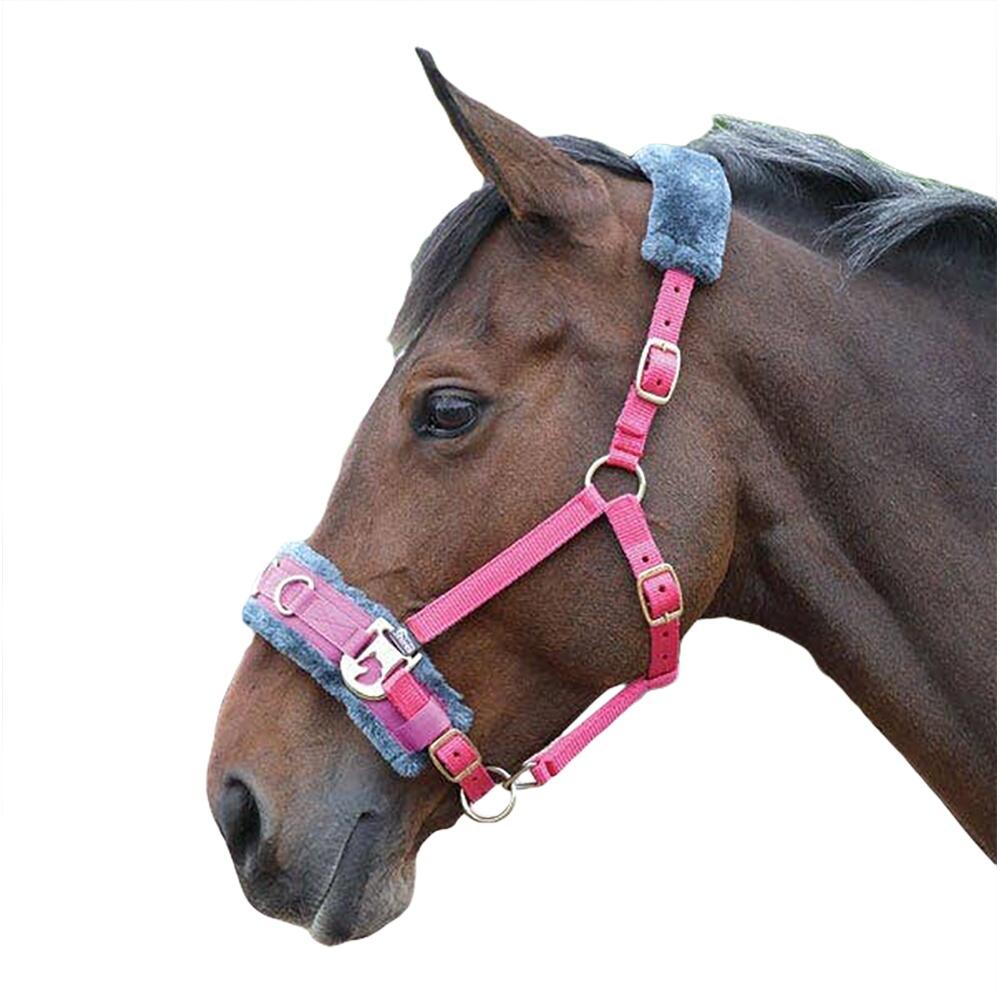 SHIRES Fleece Lined Plush Horse Lunge Cavesson (Pink)