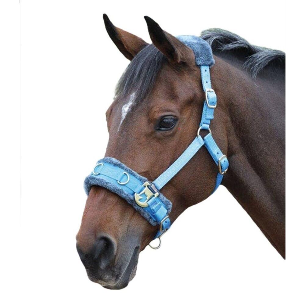 SHIRES Fleece Lined Plush Horse Lunge Cavesson (Blue)