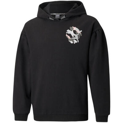 Felpe universali ragazzo Puma Alpha Hoodie FL