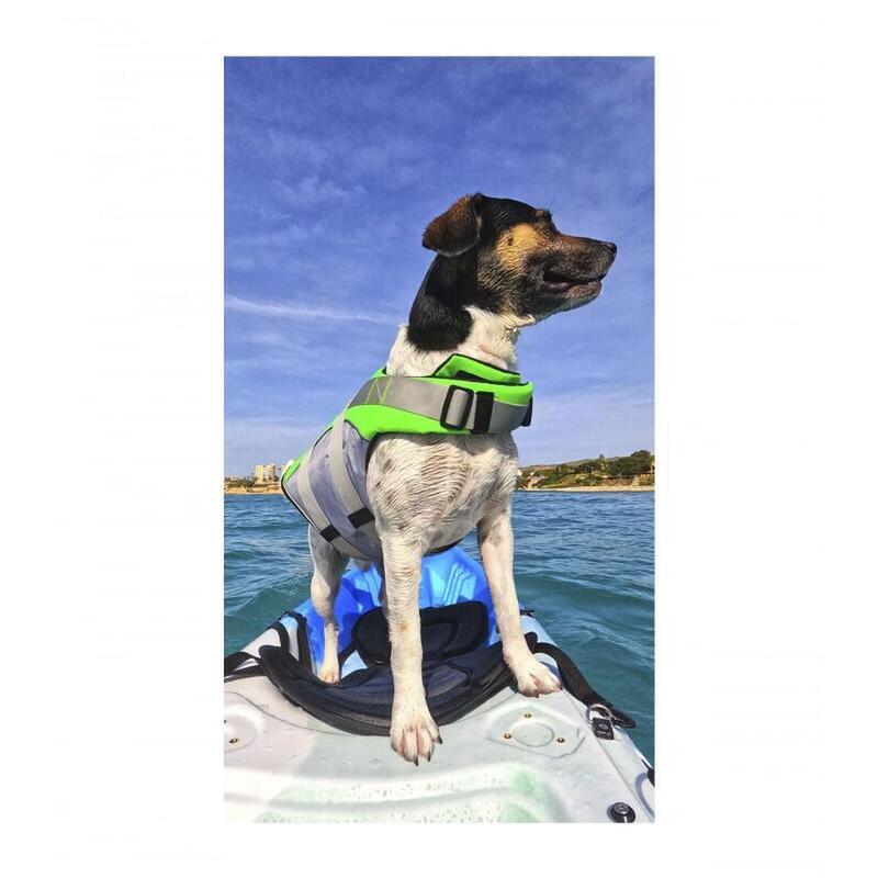 Colete salva-vidas premium para cães, tamanho M, Verde
