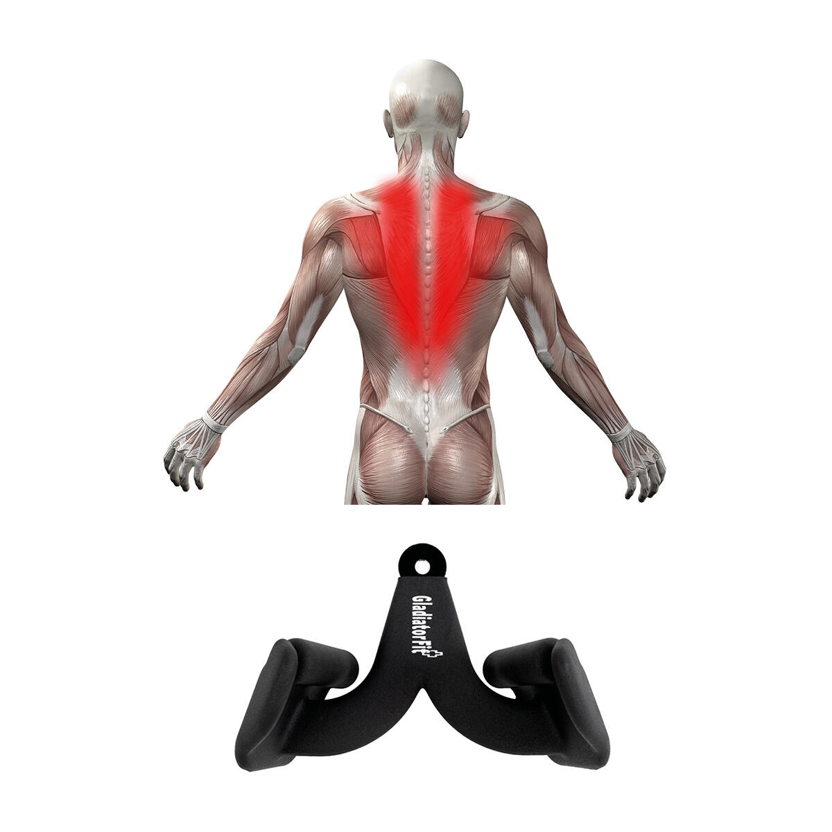 Poignée neutre ergonomique en acier pour tirage à la poulie GladiatorFit 2/5