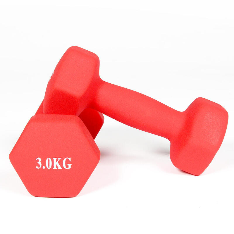 KG Physio - Lot 2 Haltères de Musculation – Alteres Musculation