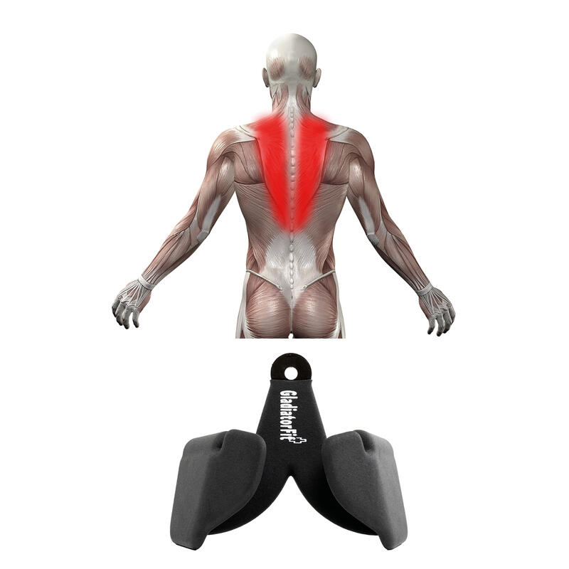 Poignée serrée ergonomique en acier pour tirage à la poulie GladiatorFit