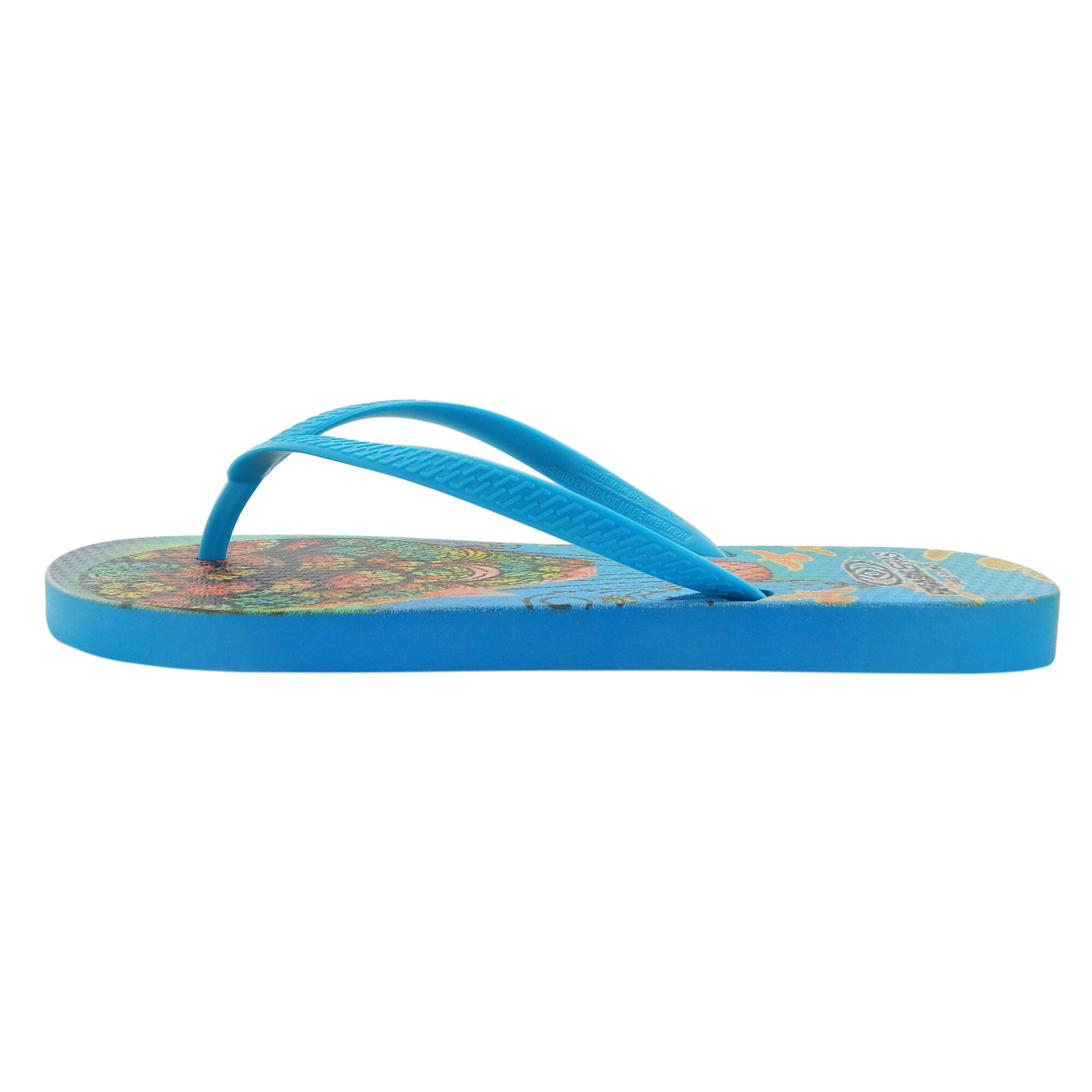 Tongs pour femme Brasileras de couleur bleu ciel avec semelle en gomme 3/5
