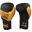 Gants de boxe EV1 métal boxe