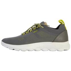 Basket Geox Spherica Homme