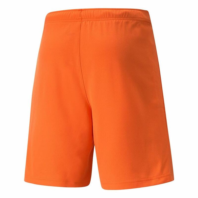 Pantaloni Scurți Drumeții În Natură Puma Bărbați
