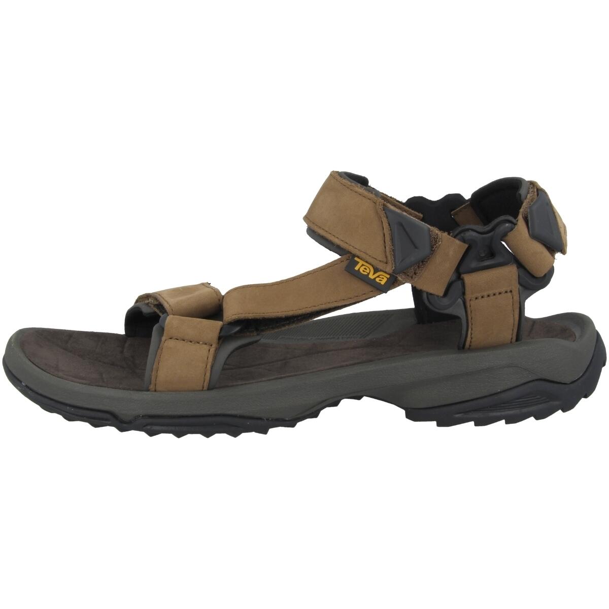 TEVA picture