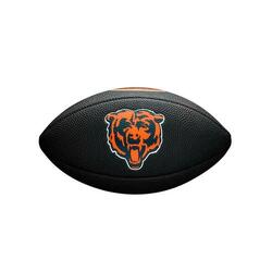 Wilson WTF1858XB NFL Bin Ball Official - Forelle Teamsports