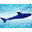 25.5CM 魚雷鯊魚游泳玩具 - 藍色