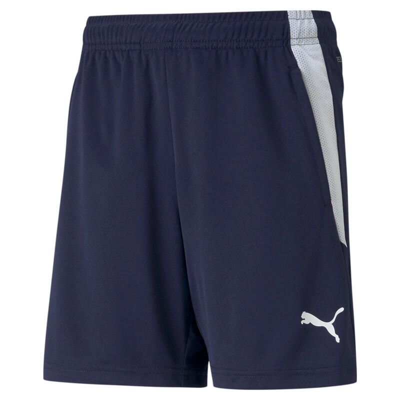 Kinder shorts Puma Team Liga Training