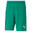 Short Puma teamRISE