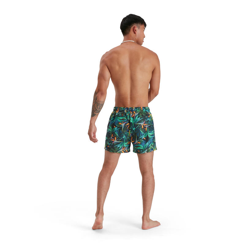 男士棕櫚鸚鵡圖案沙灘褲