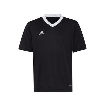 Adidas Entrada22 Kindertrikot für Jungen und Mädchen - Team Grau Vier
