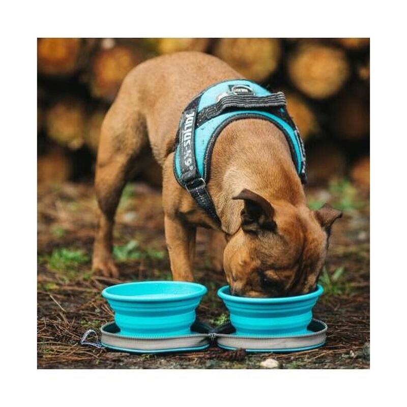 Outdoor Camping Collapsible Twin Dog Bowls - Grey/Navy