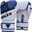 Gants de boxe BGR-F7 - Bleu