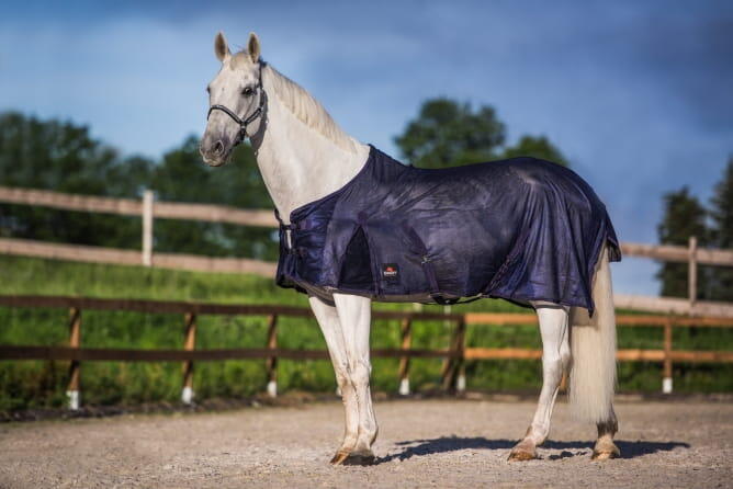 Couverture anti-mouches pour cheval Standard 2/4