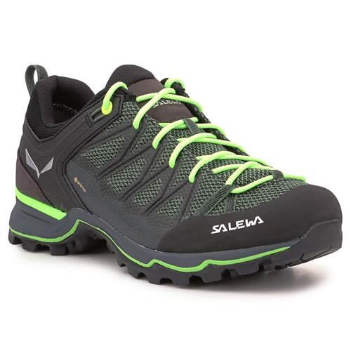 Wandelschoenen Mannelijk Salewa Ms Mtn Lite Groen