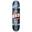 Skateboard 7.75" Checker Stripe