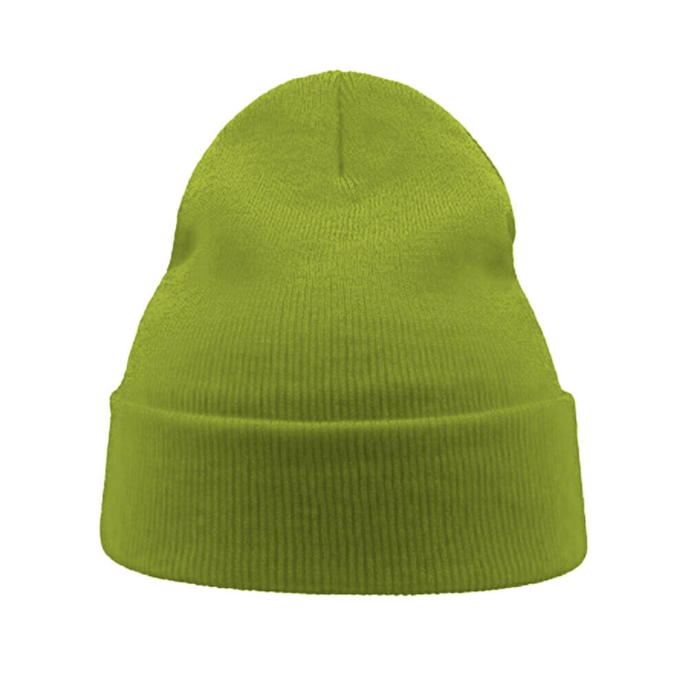 Wind Double Skin Beanie With Turn Up (Lime) 3/3