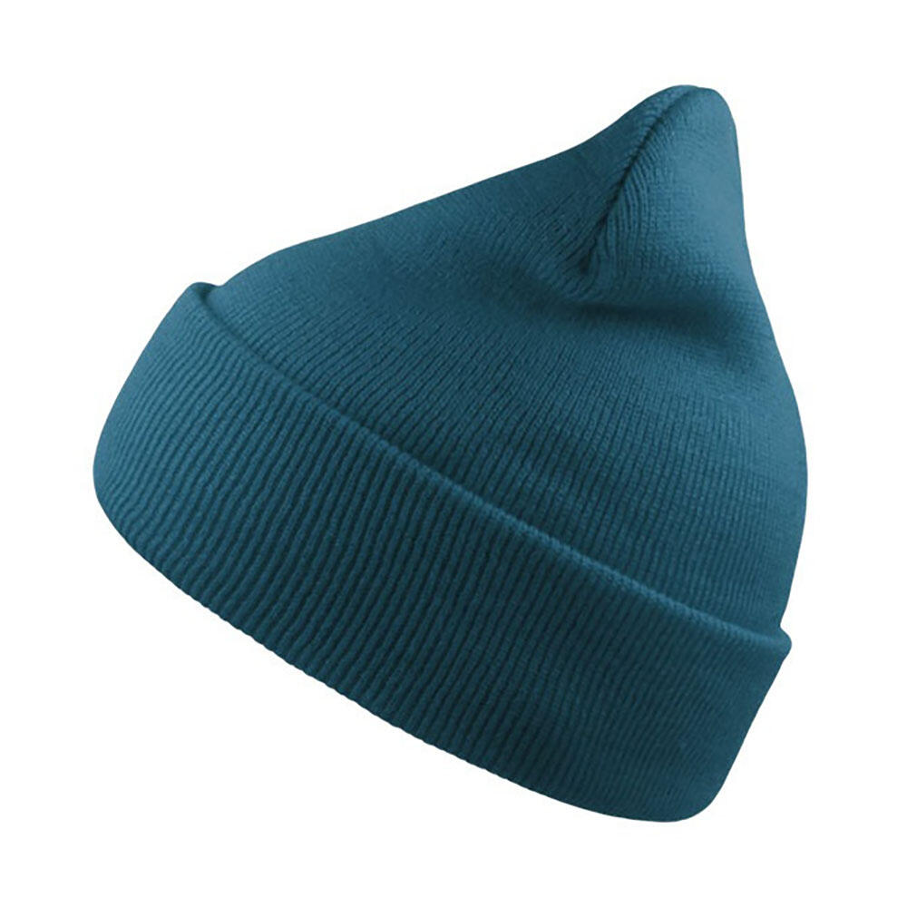 Wind Double Skin Beanie With Turn Up (Sapphire Blue) 1/3