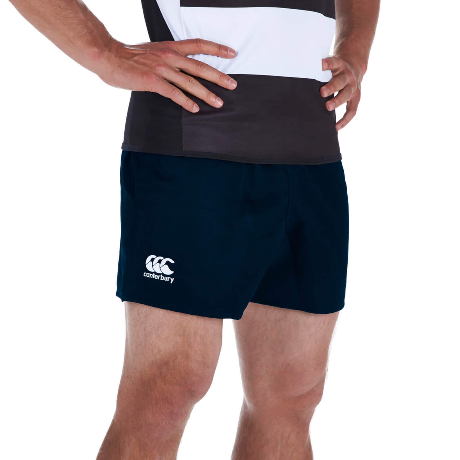 Mens Professional Polyester Shorts (Navy) 4/4