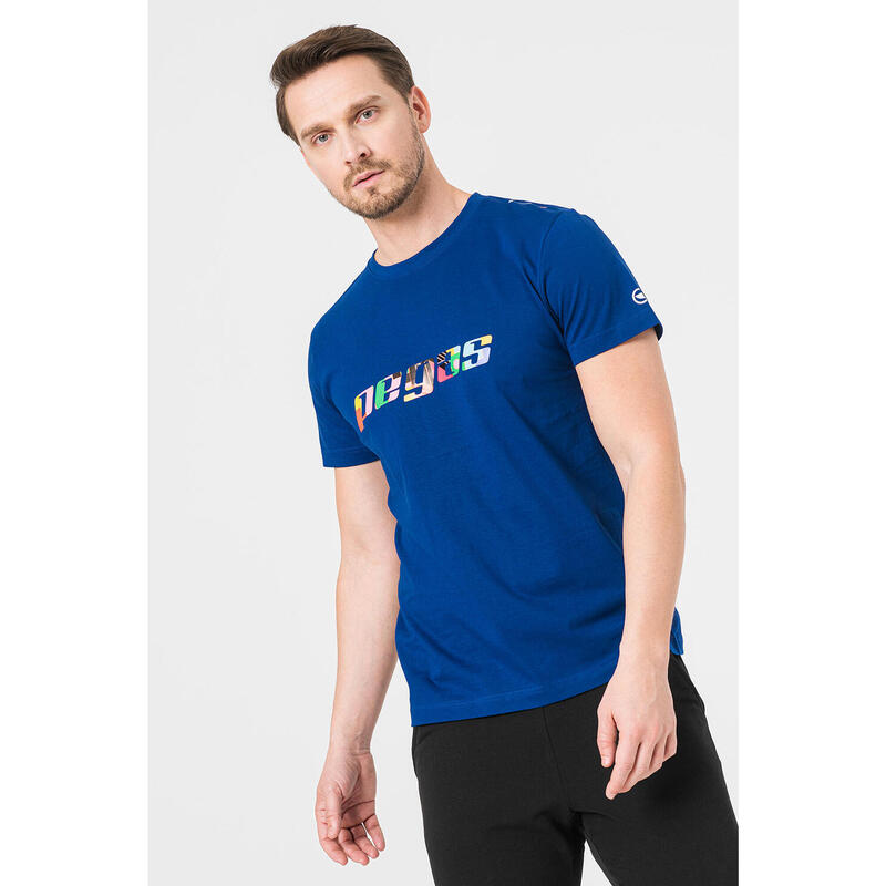 Tricou Logo Multicolor Barbati Royal Blue-L