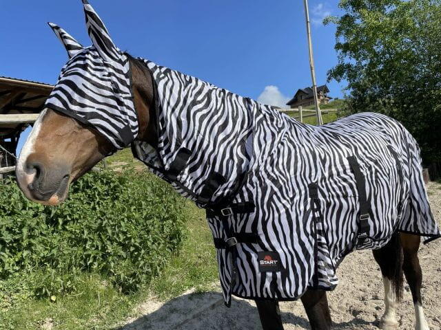 Deka síťovaná pro koně a poníky Zebra 3/4