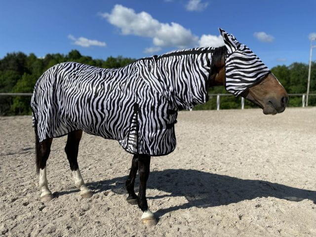Derka siatkowa jeździecka dla konia Start Zebra z szyją