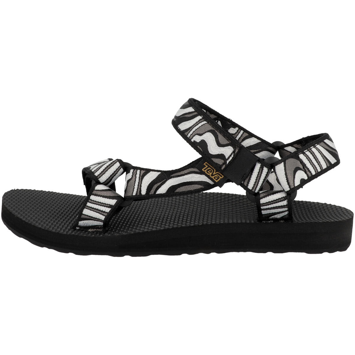 TEVA picture