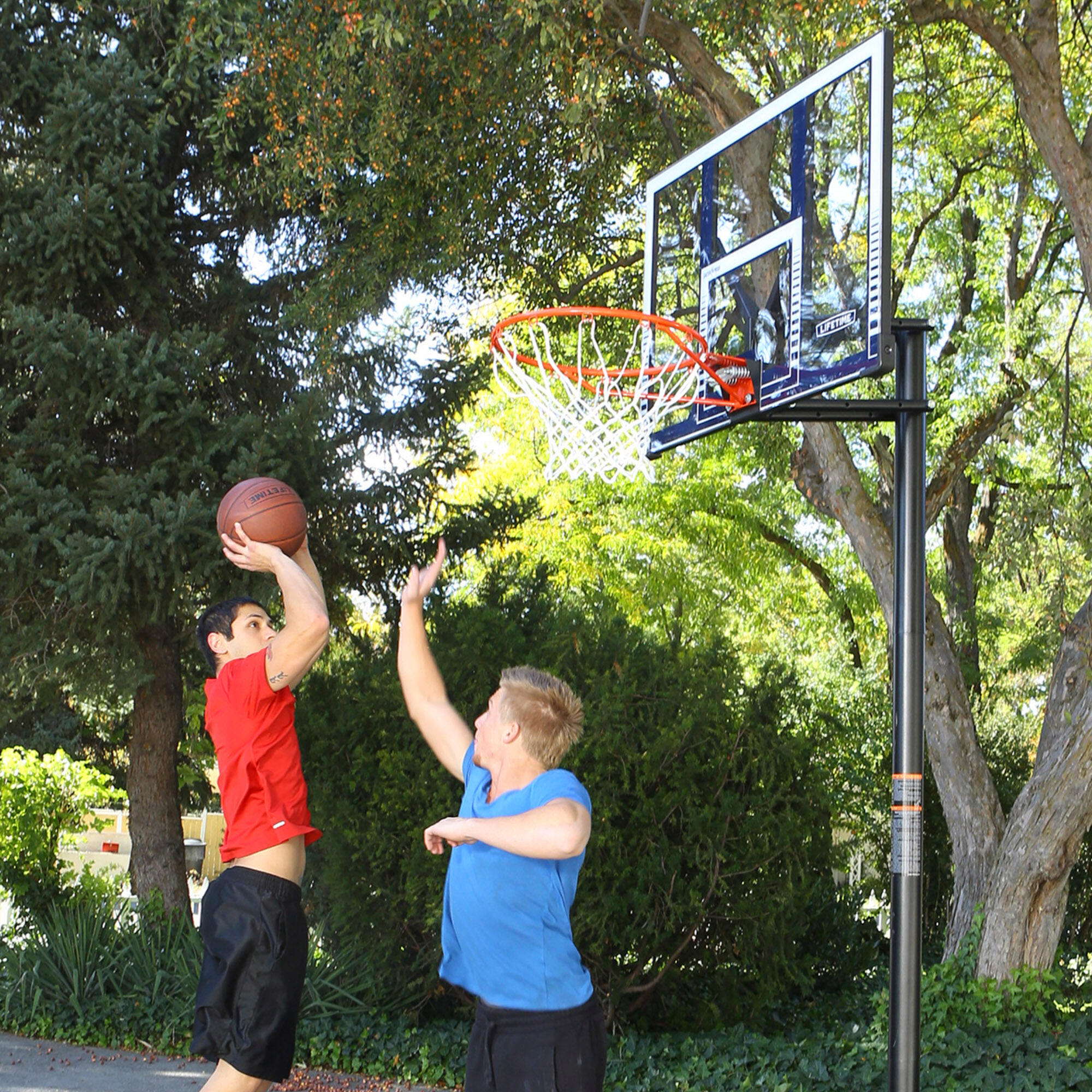 Basketball Basketballkorb höhenverstellbar mit Standfuß 244–305cm LIFETIME 90001 3/7