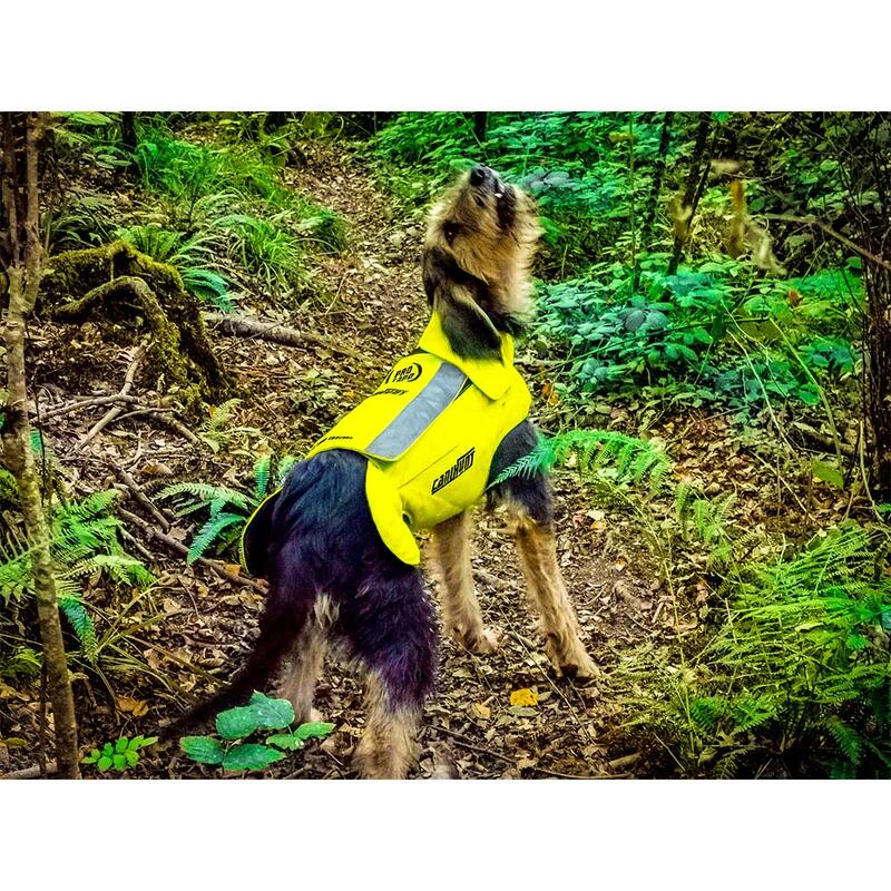 Gilet de protection pour chien de chasse PRO CANO CANIHUNT