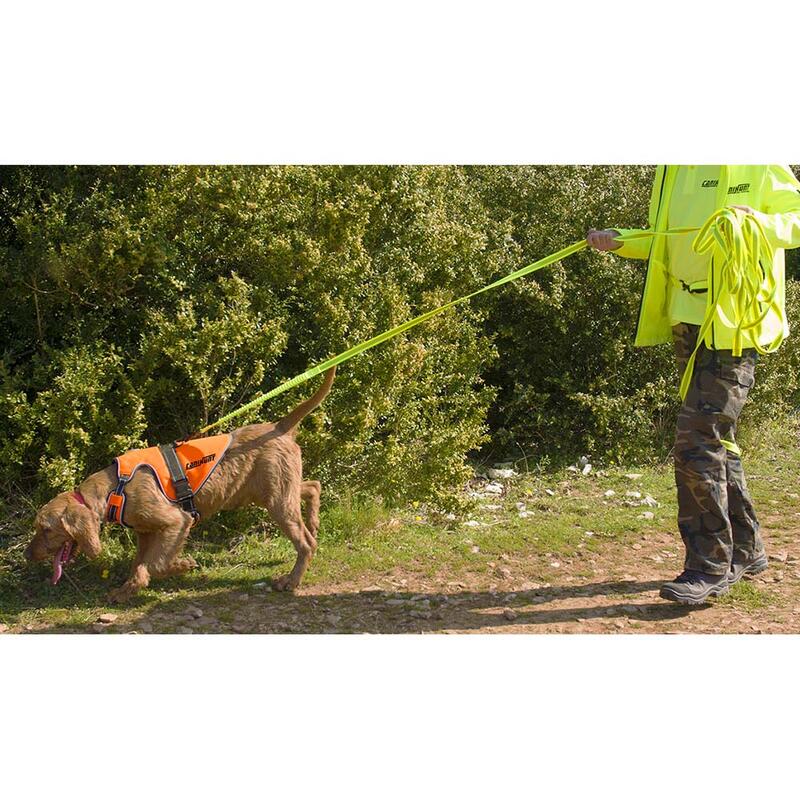 Harnais pour chien de chasse SIGNAL CANIHUNT