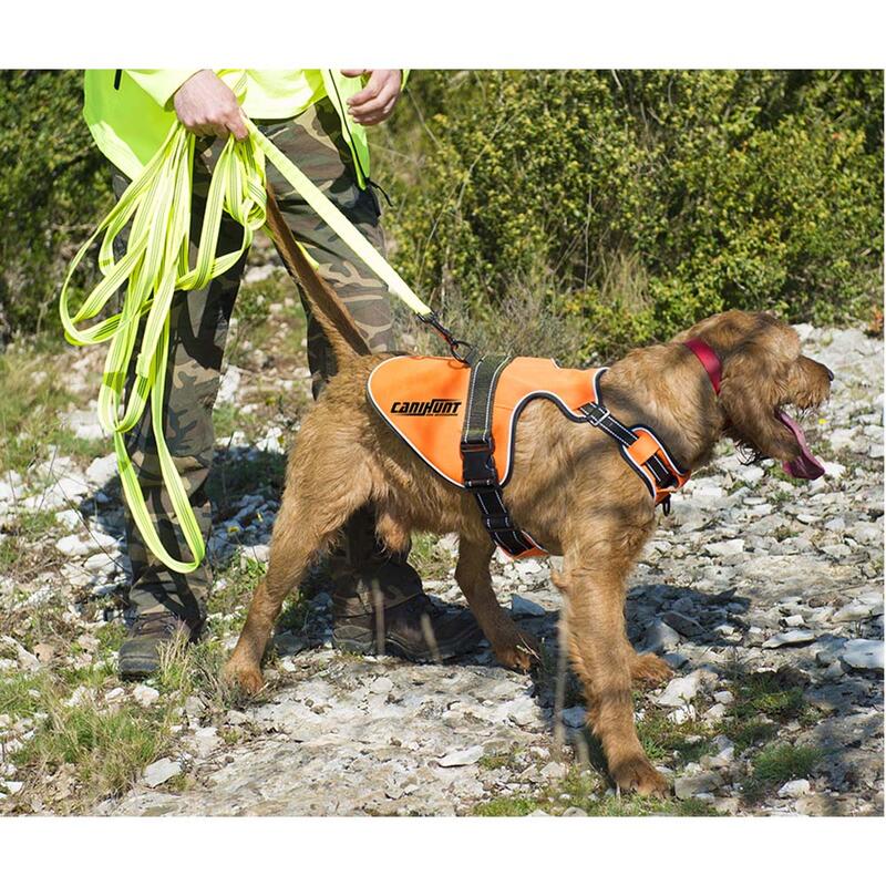 Arnés para perros de caza SIGNAL CANIHUNT