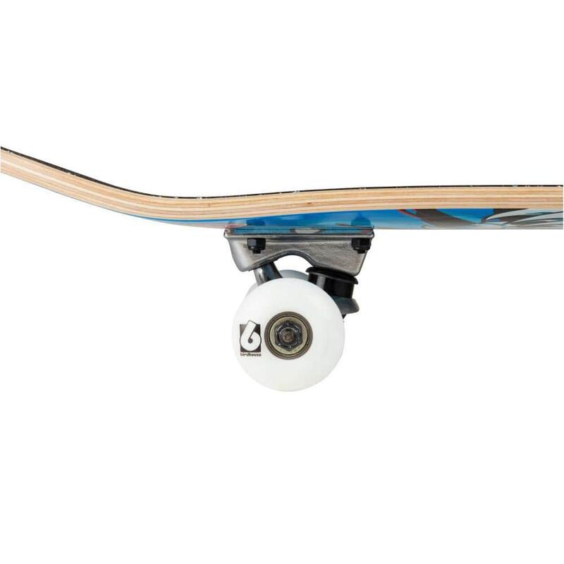 Enuff Splat 7.75"x31" Rood/Blauw Skateboard