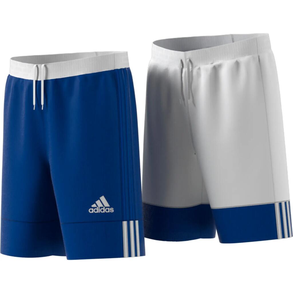 BLUE / WHITE